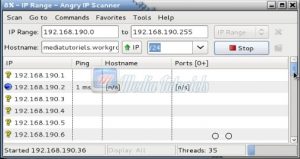 installer angry ip scanner sur kali linux